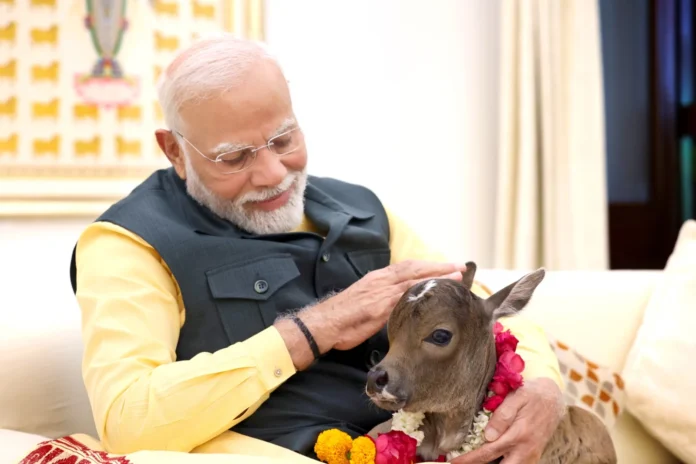 A little guest came to PM Modi's house